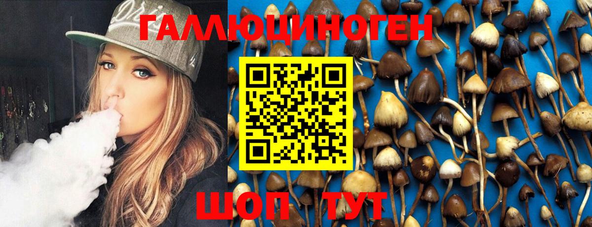 где купить наркоту  Псилоцибиновые грибы GOLDEN TEACHER  Вход с VPN  Коряжма 